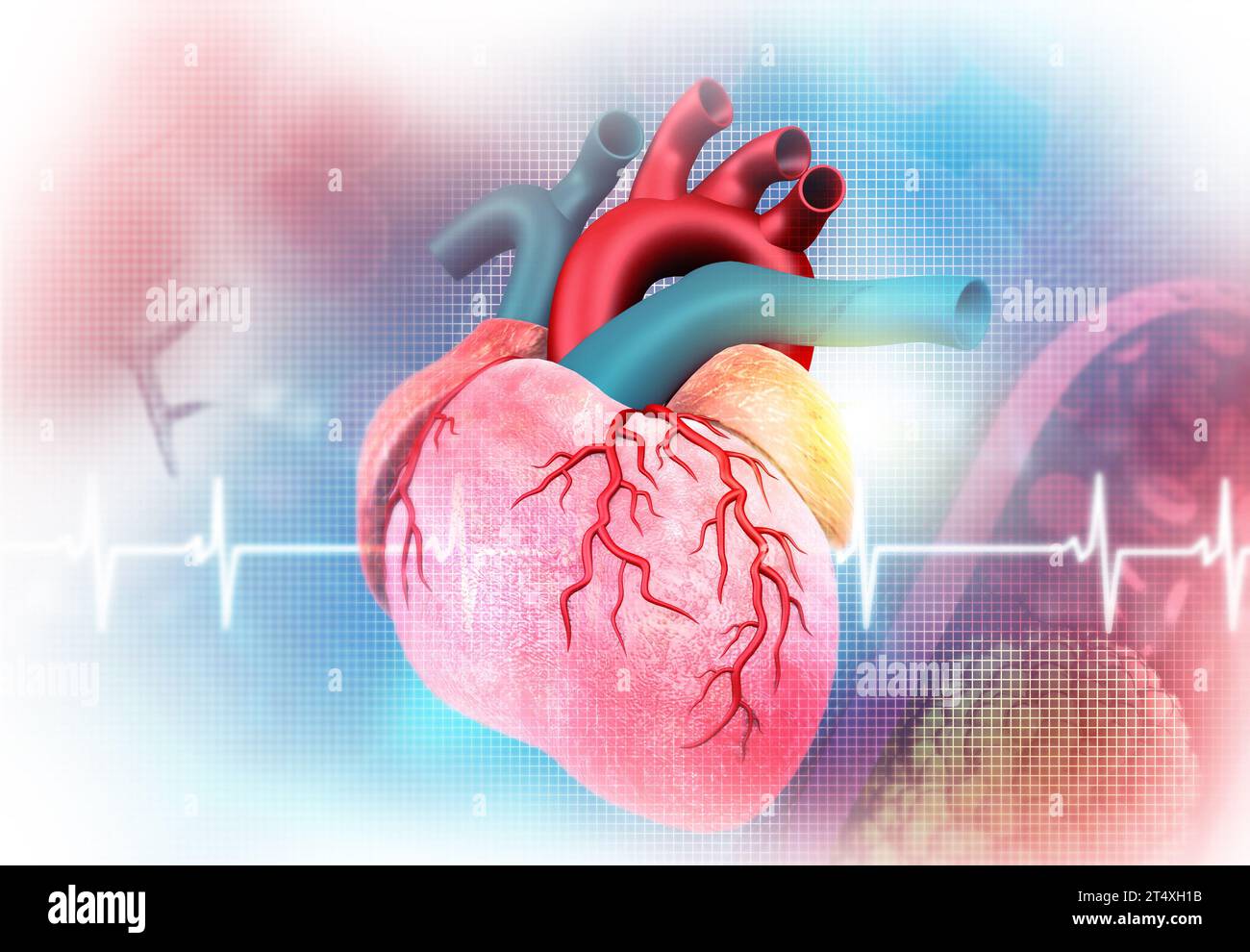 Grafico cuore umano ed ECG ECG. illustrazione 3d. Foto Stock