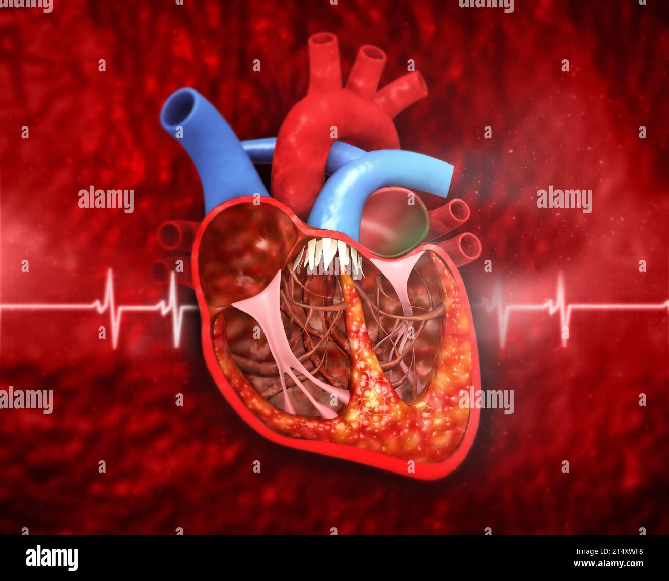 Cuore umano anatomia su sfondo medico. 3d illustrazione Foto Stock
