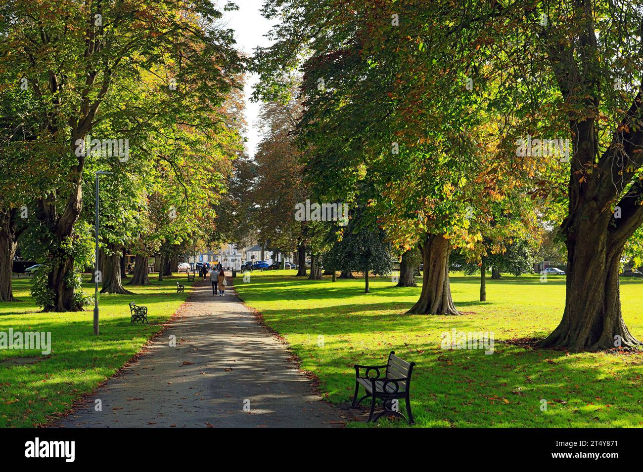 Colori autunnali Llandaff Fields, Cardiff, Galles del Sud, Regno Unito. Foto Stock