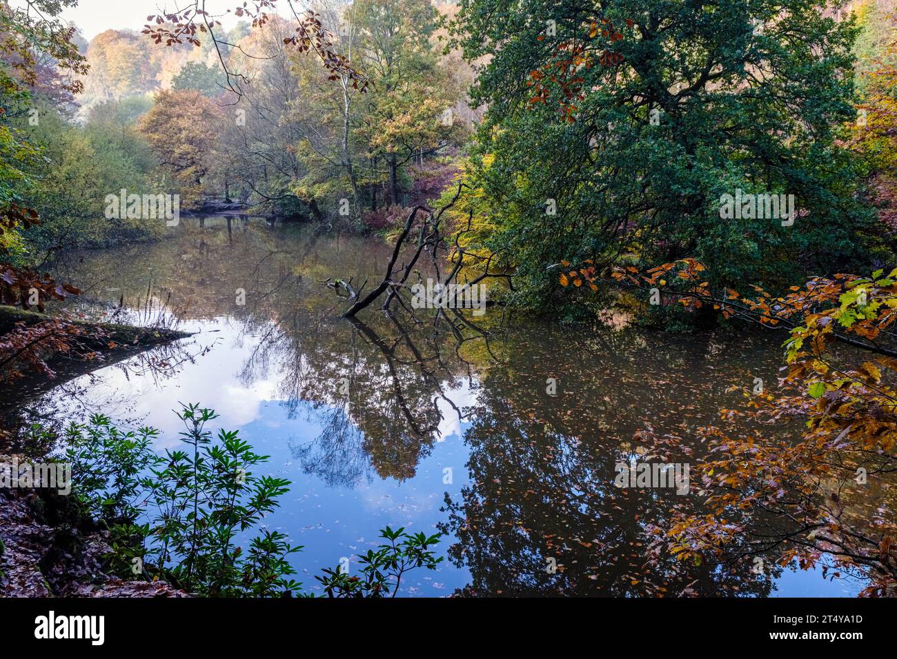 Autunno a Dimmingsdale, Staffordshire, Inghilterra Foto Stock