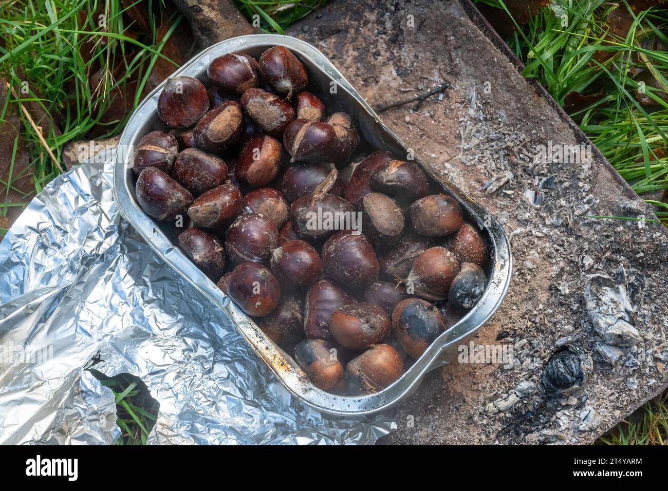 Castagne arrostite all'aperto in un falò durante l'autunno Foto Stock