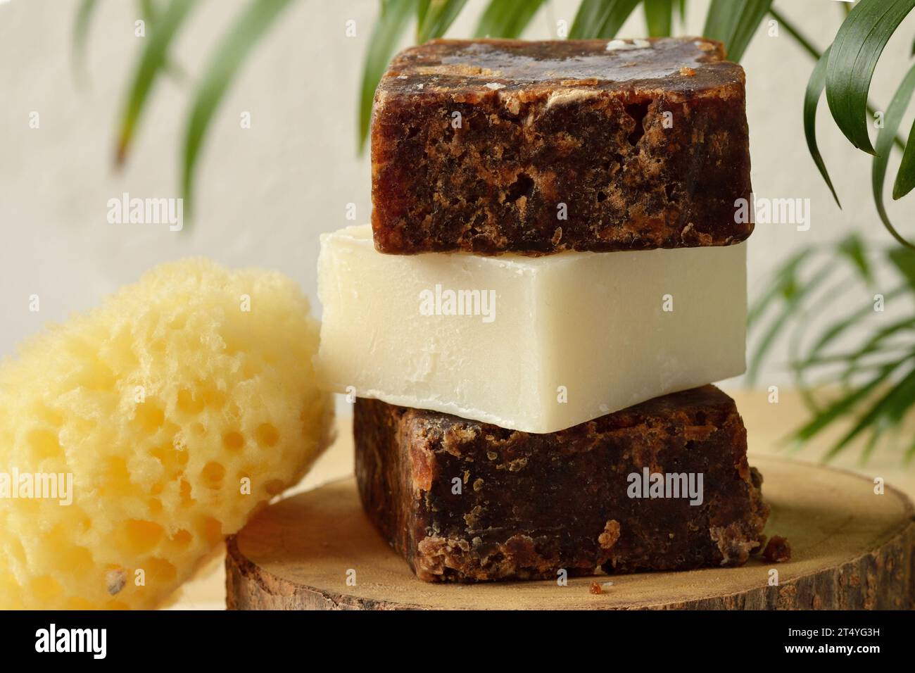 Sapone naturale con spugna - cosmetici naturali di bellezza Foto Stock