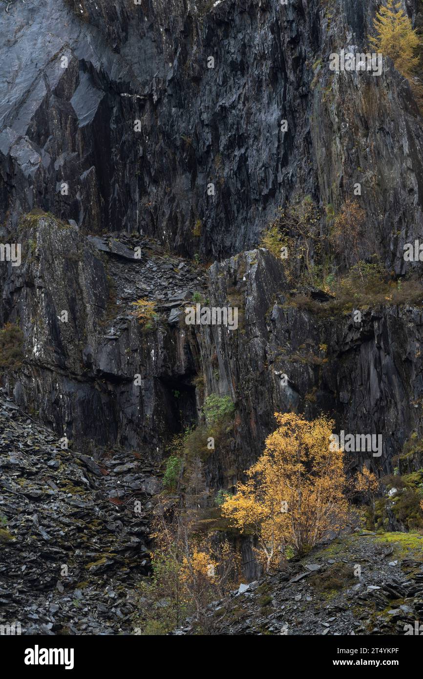 Ballachulish Slate Quarry in autunno, Highlands, Scozia Foto Stock