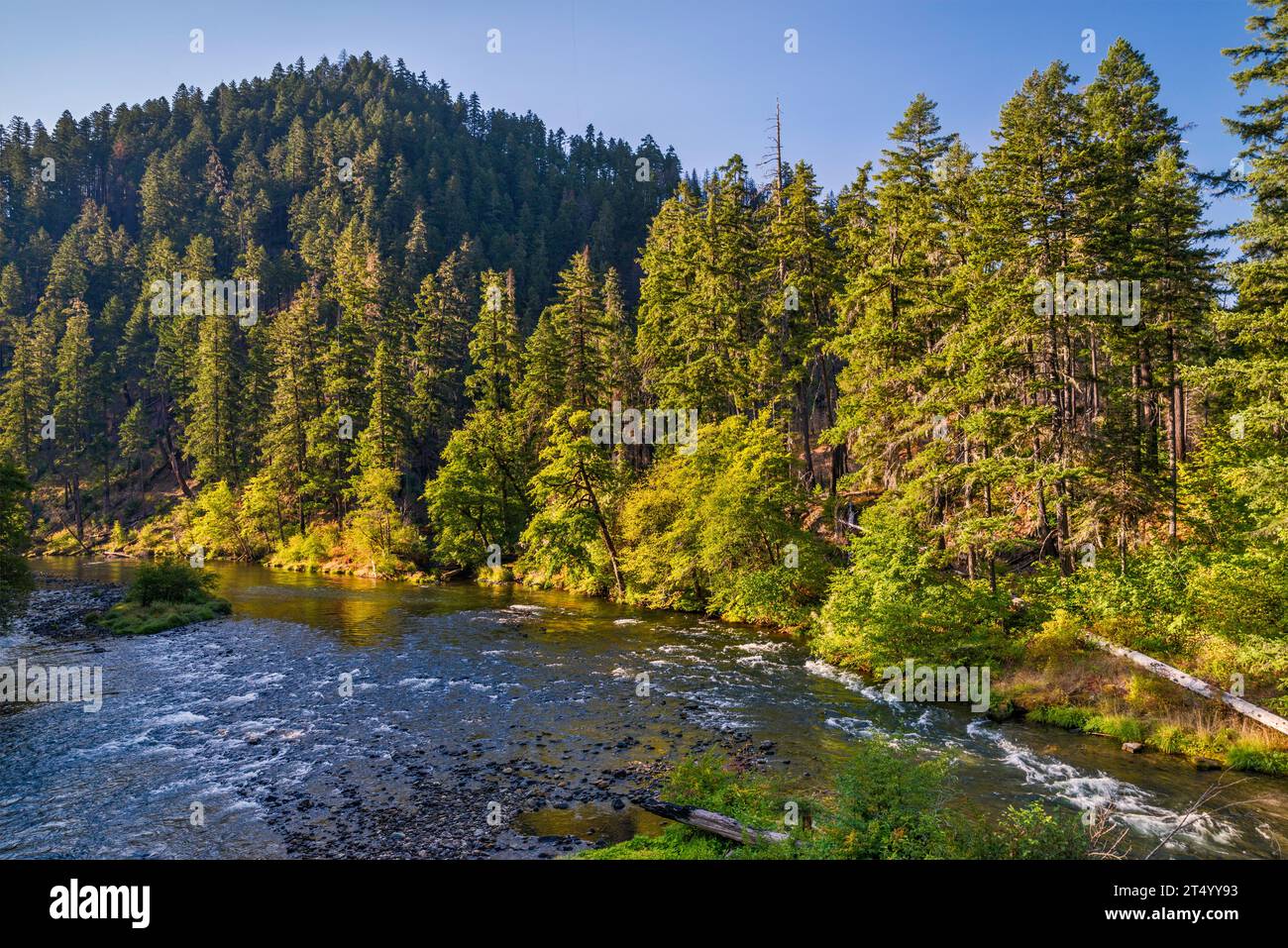 North Umpqua River, vista dal ponte sulla FR 4714, vicino a Apple Creek Campground, Umpqua National Forest, Cascade Range, Oregon, USA Foto Stock