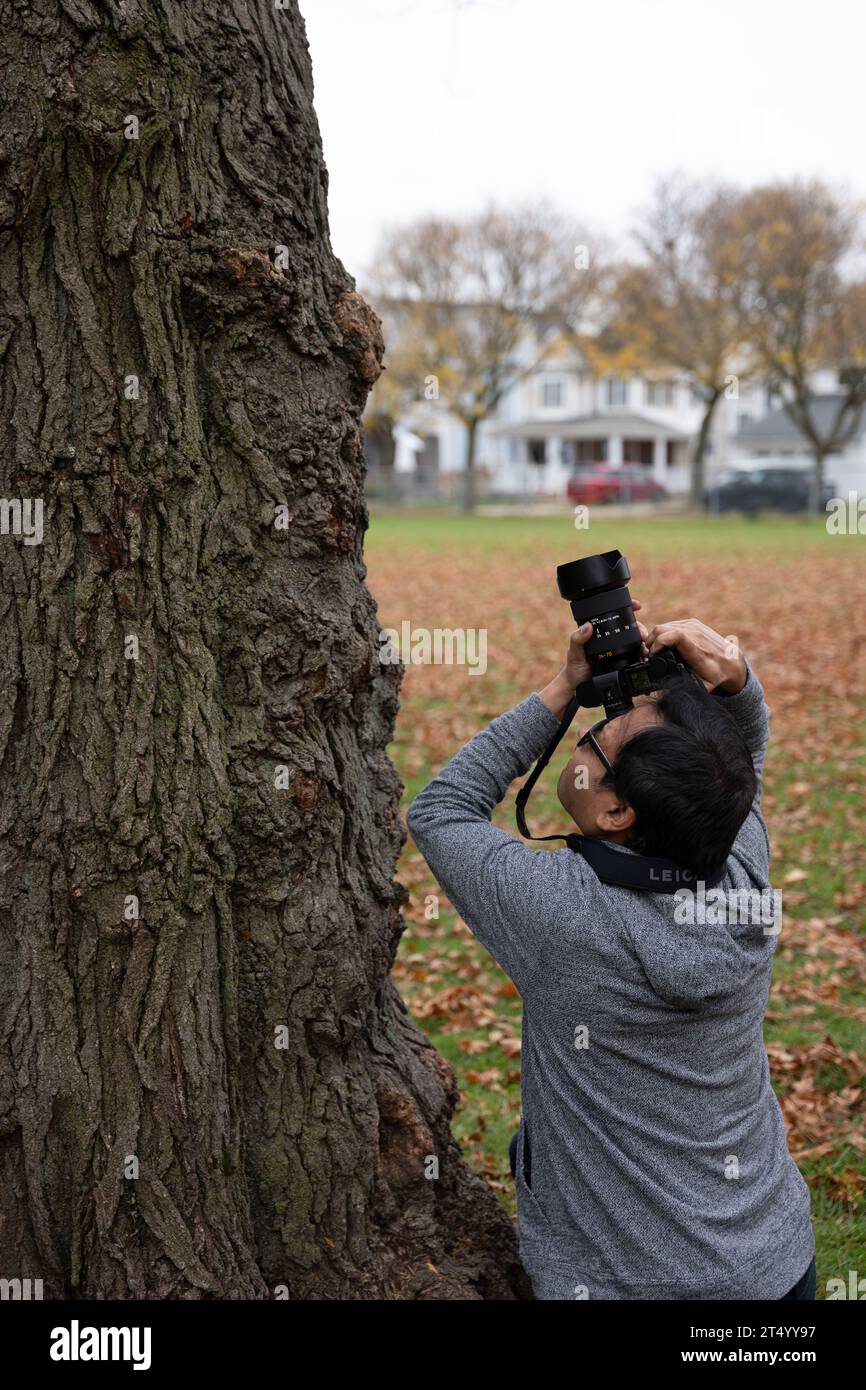 Uomo che fotografa un albero Foto Stock