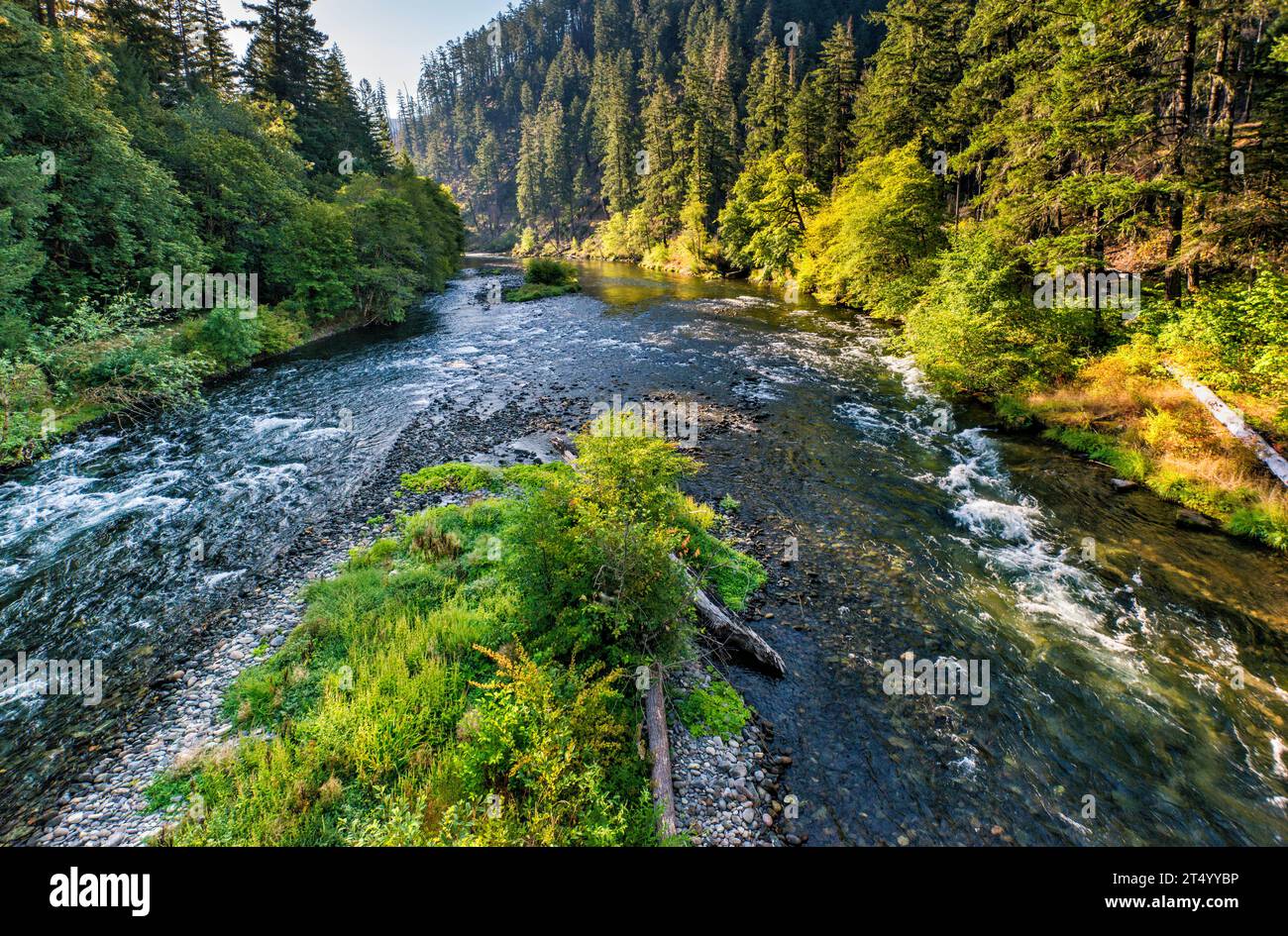 North Umpqua River, vista dal ponte sulla FR 4714, vicino a Apple Creek Campground, Umpqua National Forest, Cascade Range, Oregon, USA Foto Stock