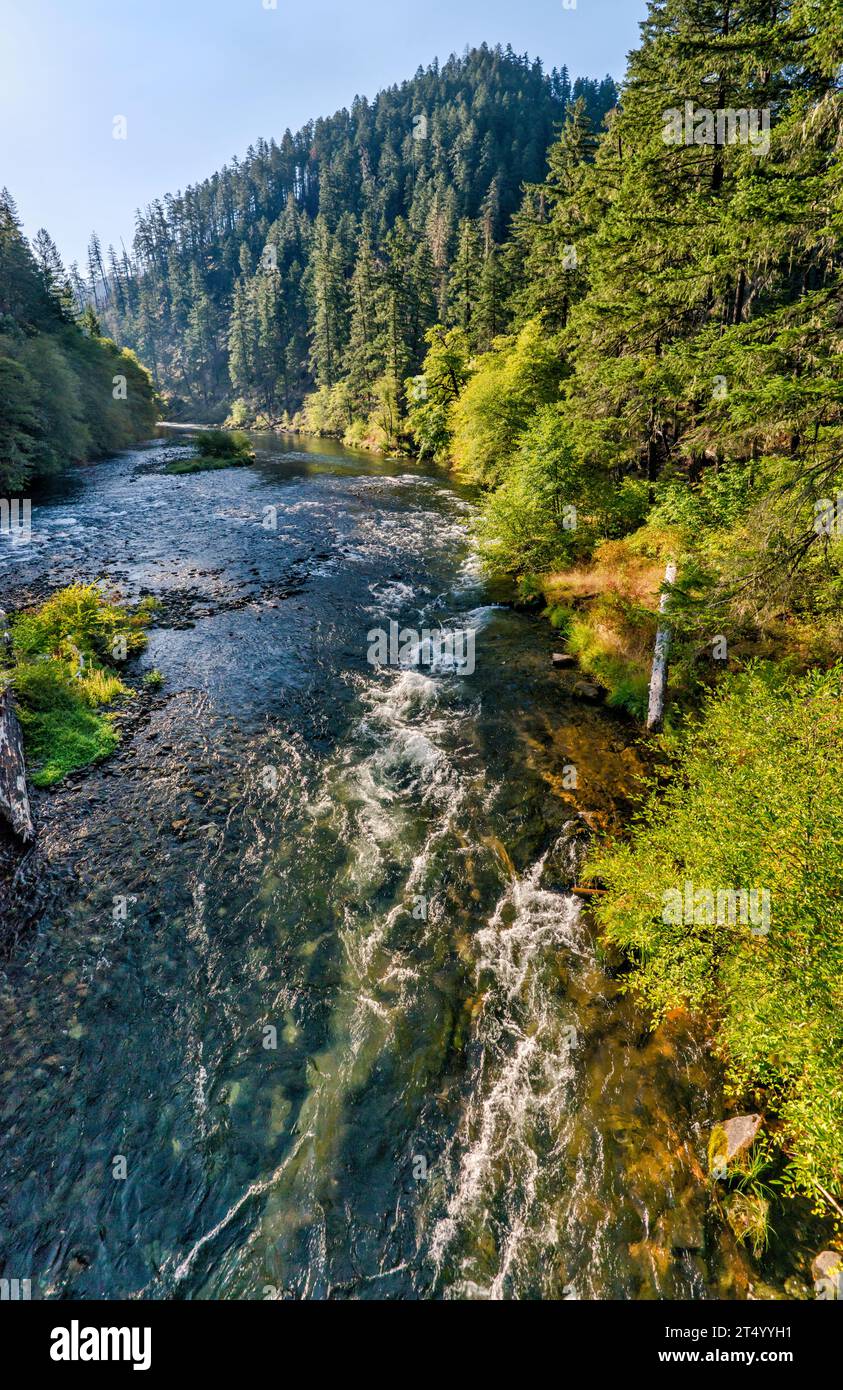 North Umpqua River, vista dal ponte sulla FR 4714, vicino a Apple Creek Campground, Umpqua National Forest, Cascade Range, Oregon, USA Foto Stock