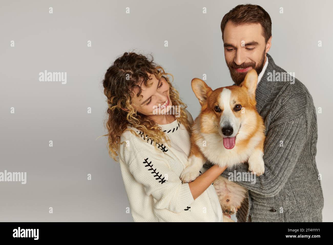 ritratto di famiglia, uomo e donna allegri in abbigliamento invernale in posa con graziosi corgi su sfondo grigio Foto Stock