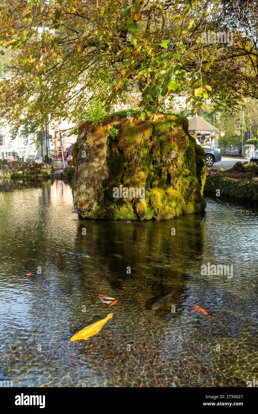 La fontana coperta di Moss nel Fish Pond a Matlock Bath, Derbyshire, Inghilterra Foto Stock