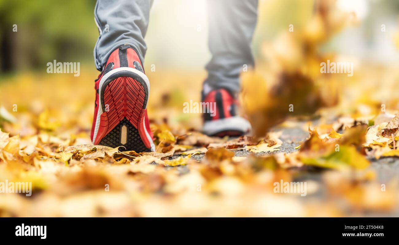 Primo piano delle scarpe da running di una persona che corre su foglie d'acero in autunno. Foto Stock