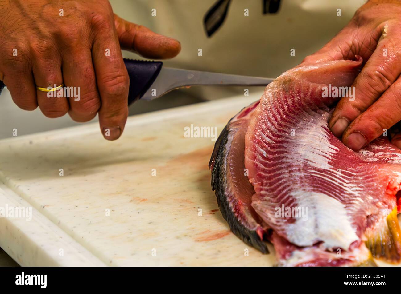 Il filetto di carpa viene rimosso dalla colonna vertebrale con un coltello a Wiesau (VGem), Germania Foto Stock