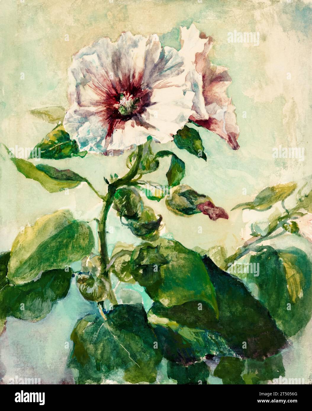 John la Farge, Study of Pink Hollyhocks in Sunlight, from Nature, STILL Life painting in watercolor, 1879 Foto Stock