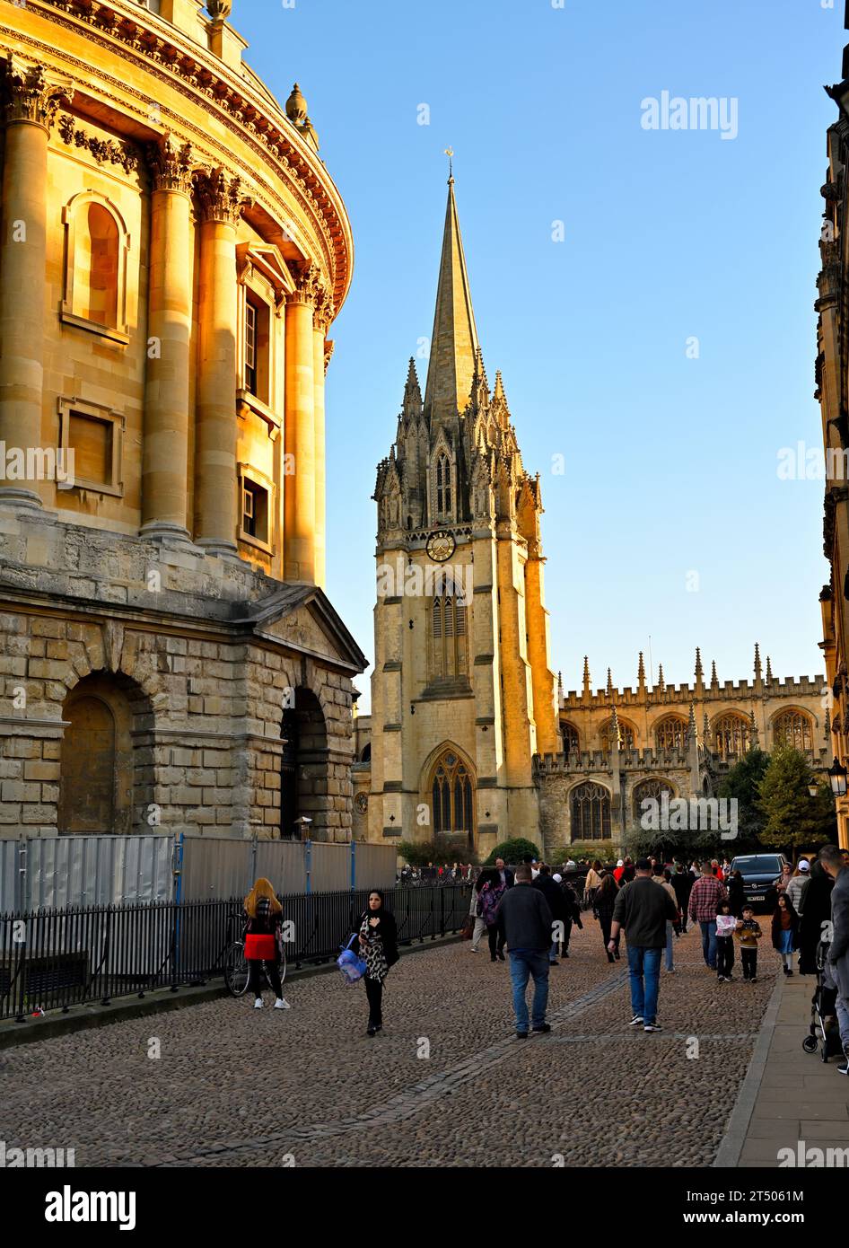 Edificio Radcliffe camera con guglia University Church of St Mary the Virgin sullo sfondo, Oxford Foto Stock