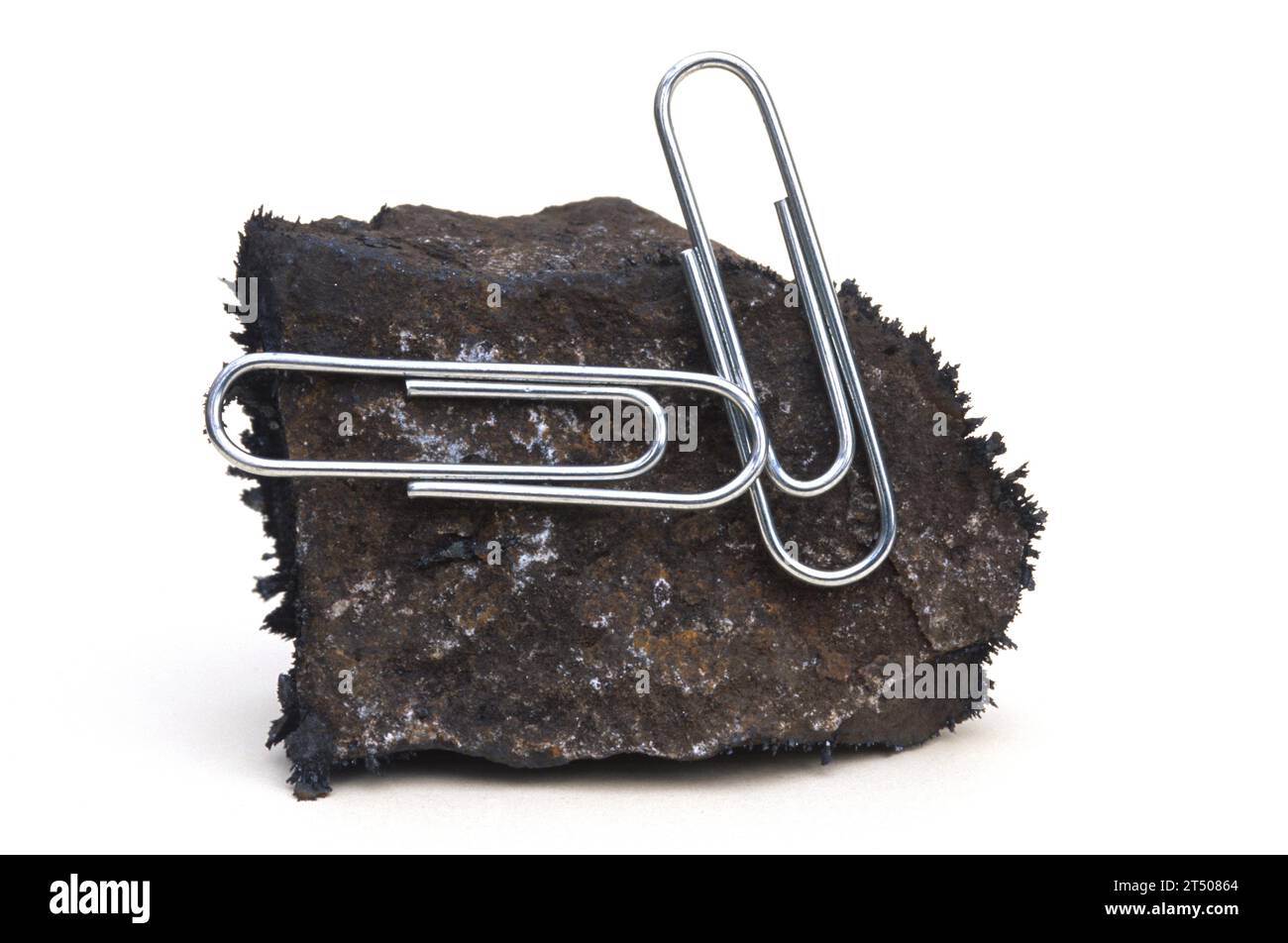 La magnetite è un minerale di ossido di ferro con proprietà magnetiche. Campione che attrae oggetti metallici. Foto Stock