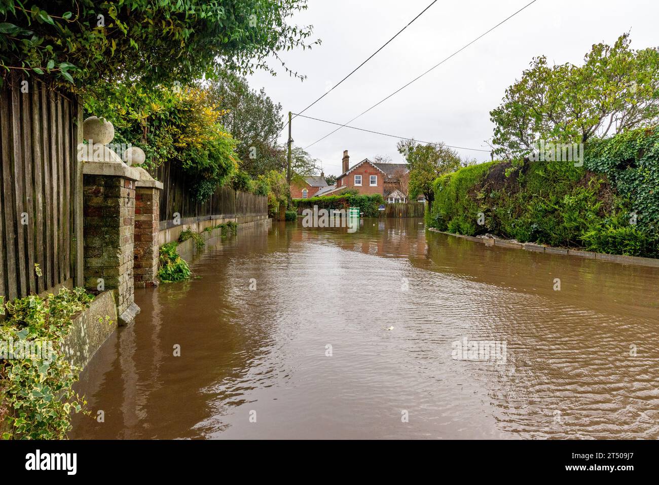 Fordingbridge, Hampshire, Regno Unito, 2 novembre 2023: Meteo. La tempesta Ciarán frusta nelle contee meridionali dell'Inghilterra, dove gli avvisi meteorologici gialli e gialli sono in atto per forti venti e forti piogge durante il pomeriggio. L'inondazione ha chiuso Bowerwood Road alla maggior parte dei veicoli. Crediti: Paul Biggins/Alamy Live News Foto Stock