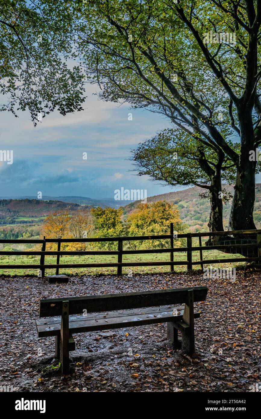Vista delle valli del Galles meridionale in autunno. Concetto tranquillo, tranquillo, vista, seduta, pensiero. Autunno. Bosco. Foresta. Foto Stock