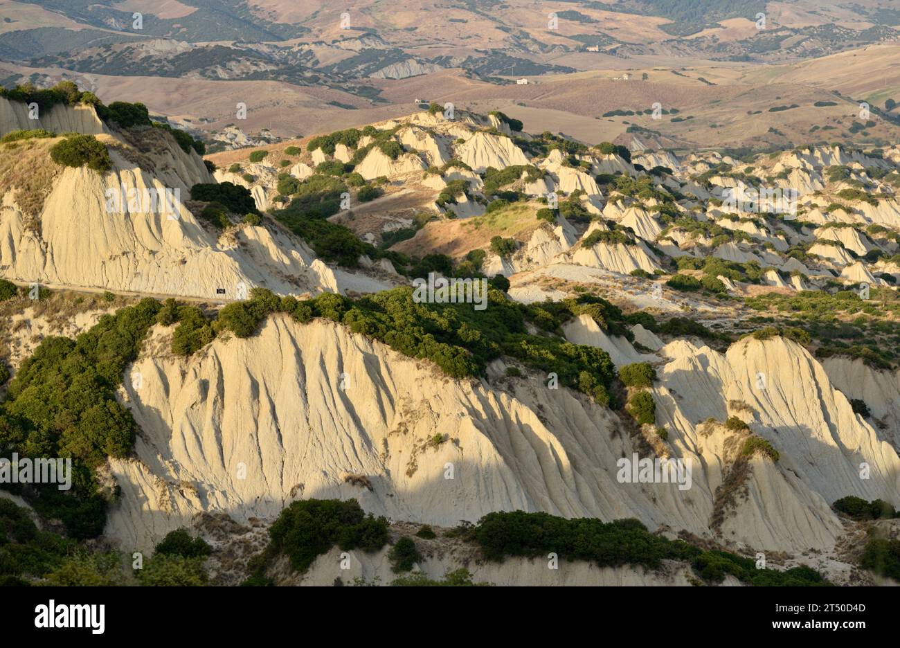 Formazioni ventose vicino ad Aliano, Basilicata, Italia Foto Stock