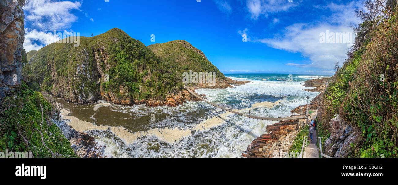 Foto panoramica del Ponte sospeso nel Parco Nazionale di Tsitsikama in Sud Africa durante la giornata in cielo blu con la nuvola libera fotografata Foto Stock