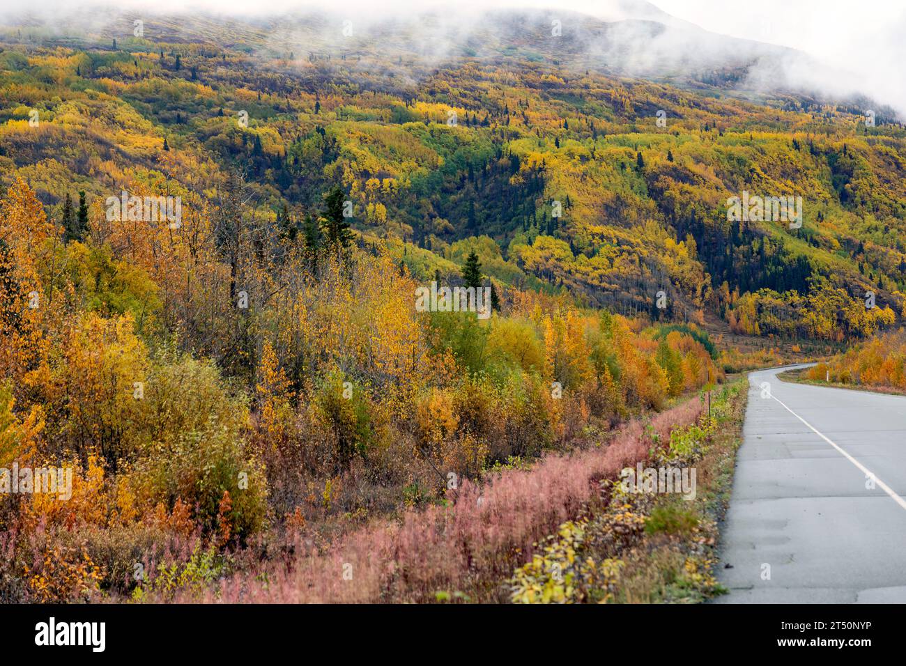 Splendido viaggio panoramico autunnale lungo l'Alaska Highway nel territorio dello Yukon, Canada. Foto Stock