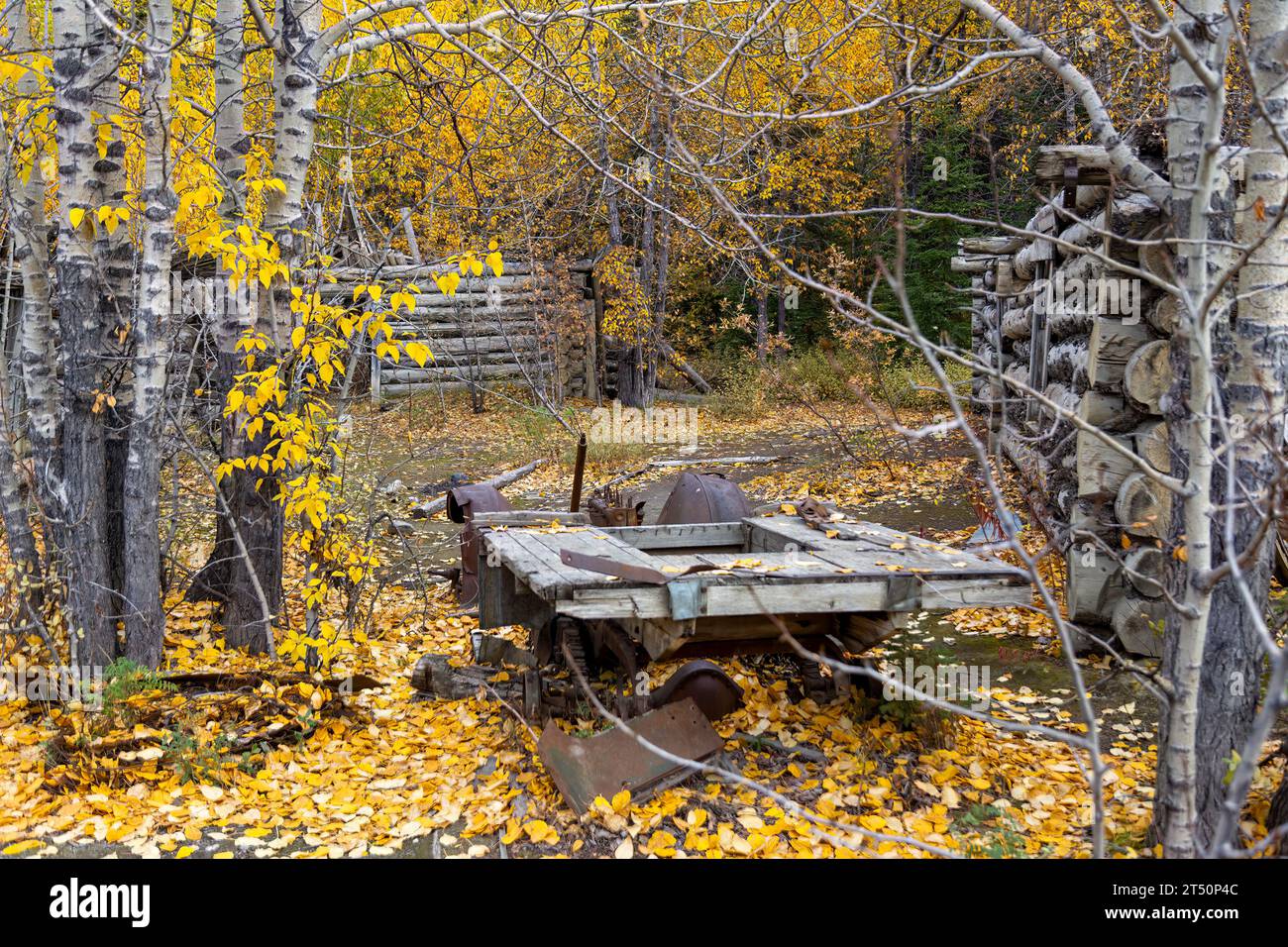 Un vecchio camion abbandonato trovato nella città fantasma di Silver City vicino al lago Kluane nel Kluane National Park and Reserve, Yukon, Canada. Foto Stock