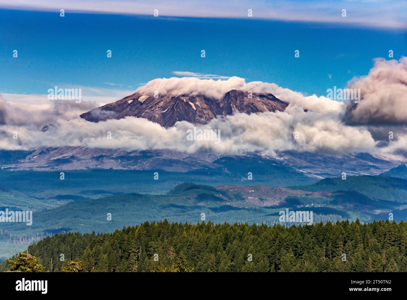 Mount Saint Helens, vista a distanza da McClellan Viewpoint, Curly Creek Road (Forest Road 51), Gifford Pinchot National Forest, stato di Washington, USA Foto Stock