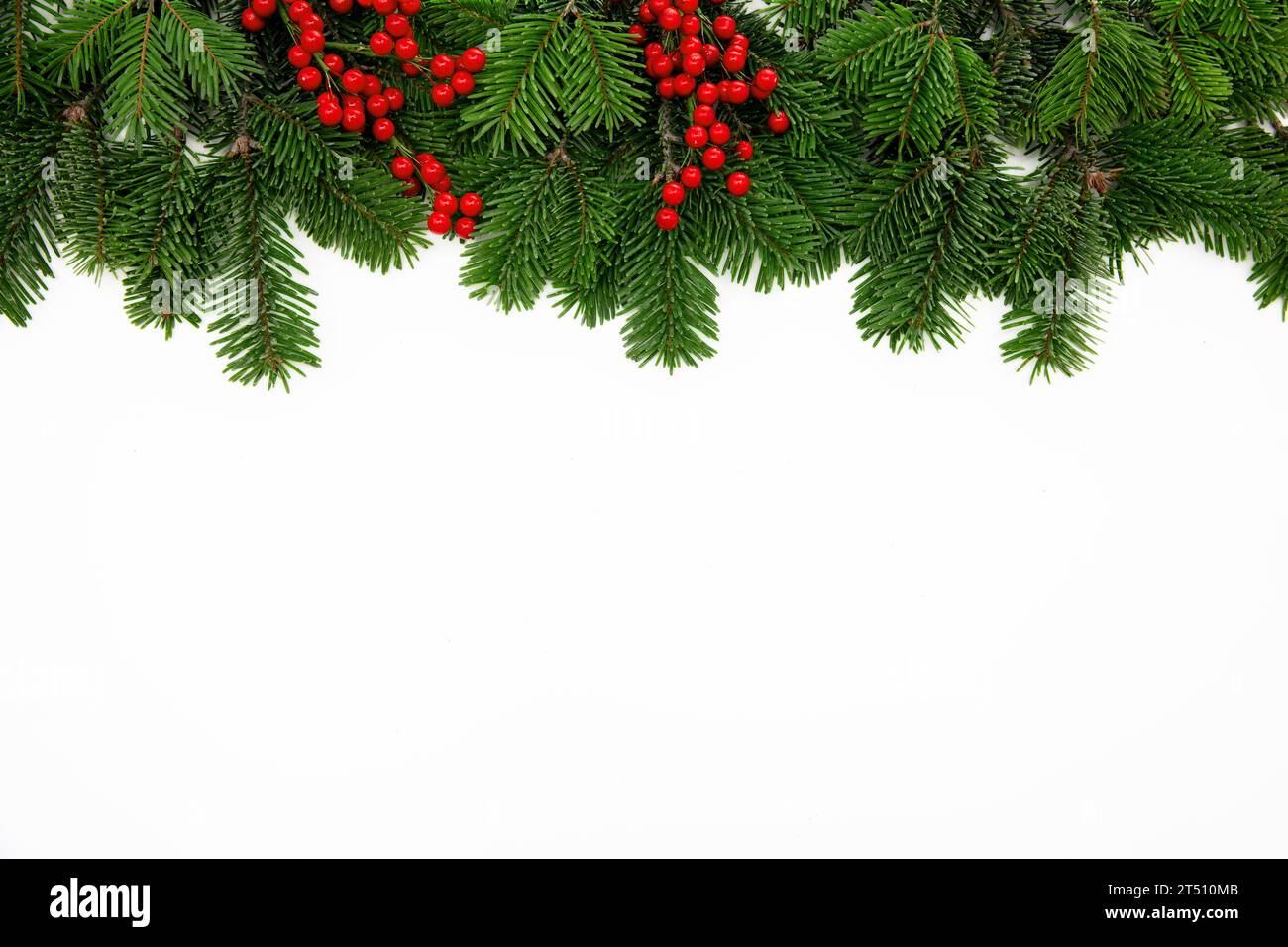 Bordo dell'albero di Natale decorato con bacche rosse isolate su sfondo bianco, modello di biglietto d'auguri Foto Stock