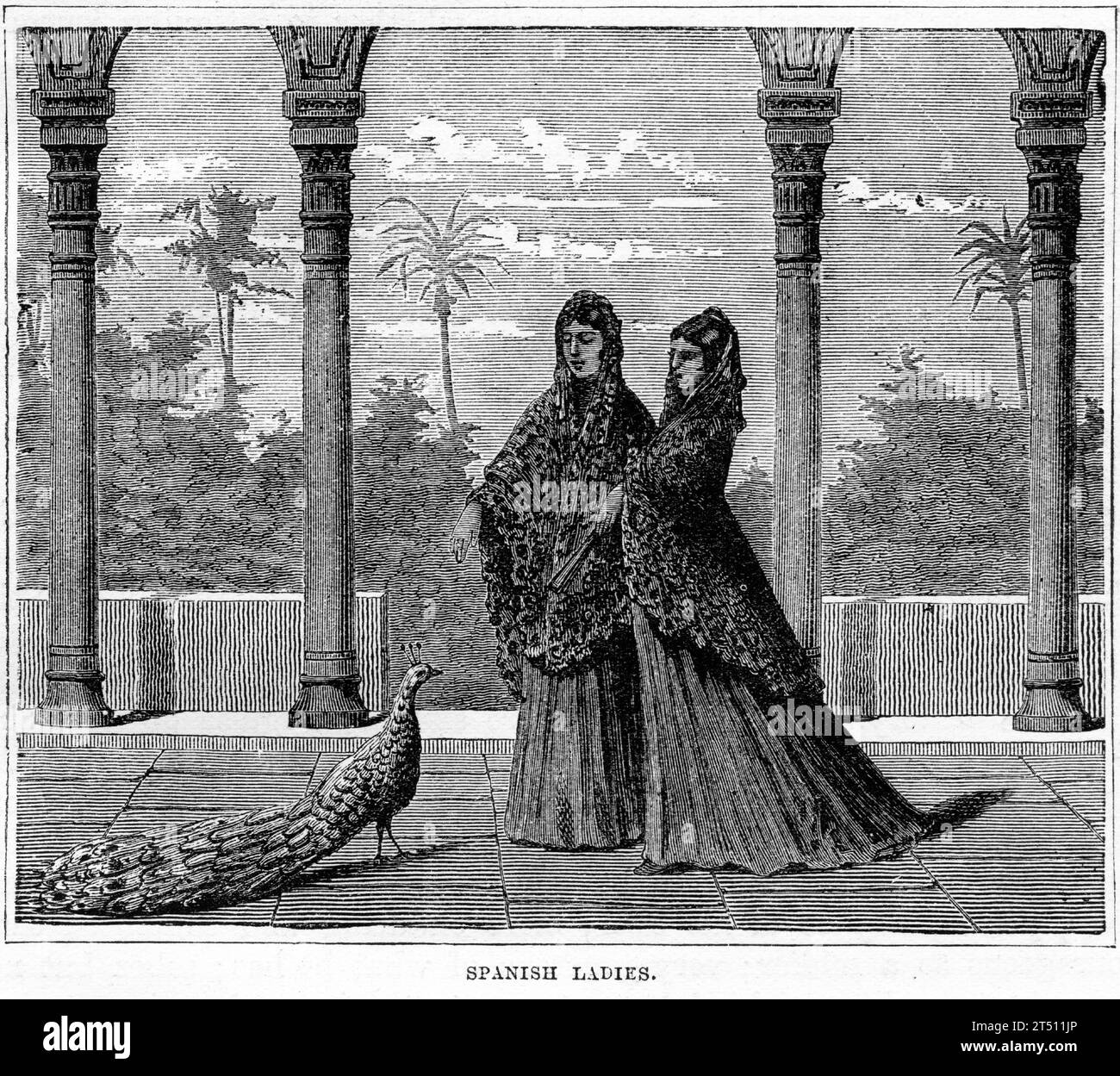 Ritratto di due ricche signore spagnole. Pubblicato intorno al 1880 Foto Stock