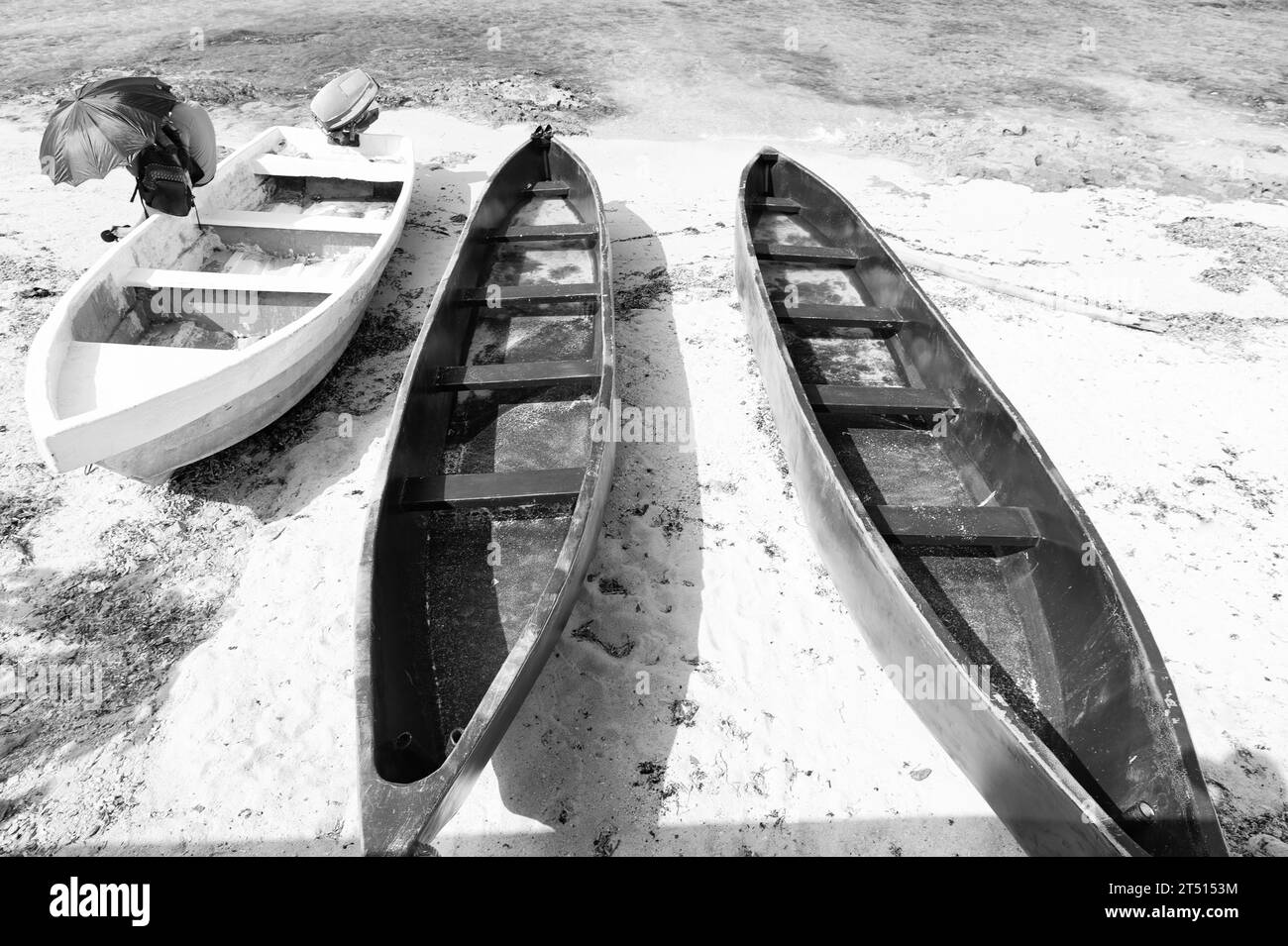 barca a remi sulla spiaggia. barca a remi per le attività di vacanza estive. barca a remi al mare. Foto Stock