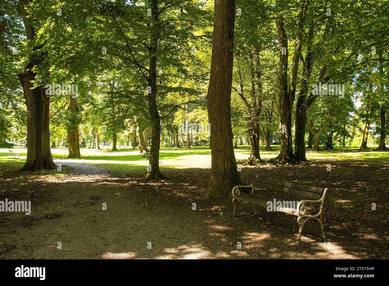 Gli alberi offrono ombra estiva nel parco pubblico Perivoj Josipa Vrbanica vicino al centro di Karlovac, nella Croazia centrale. Inizio settembre Foto Stock