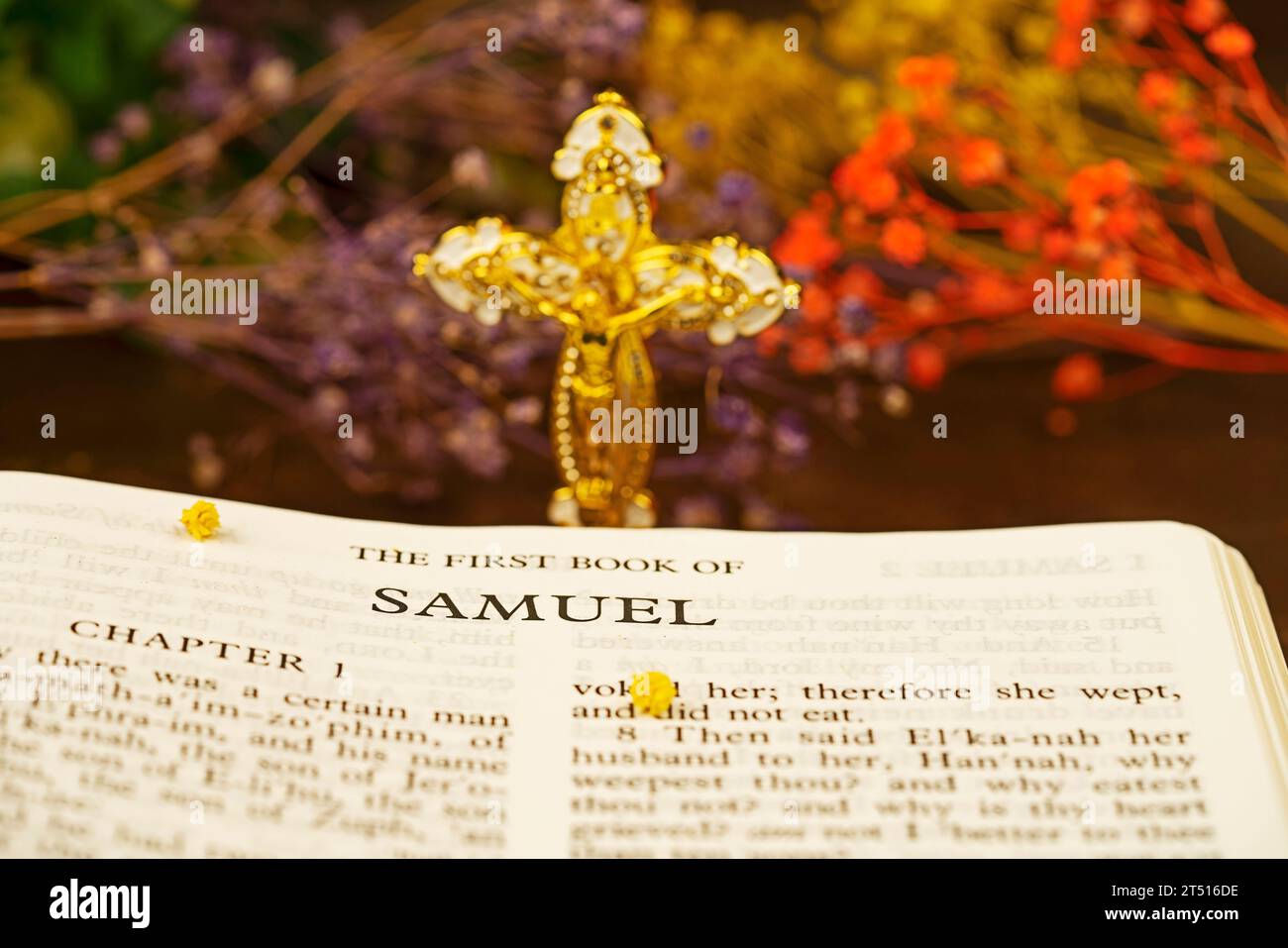 Il libro Holybible del primo libro di samuel Index per sfondo e ispirazione con illuminazione vintage Foto Stock