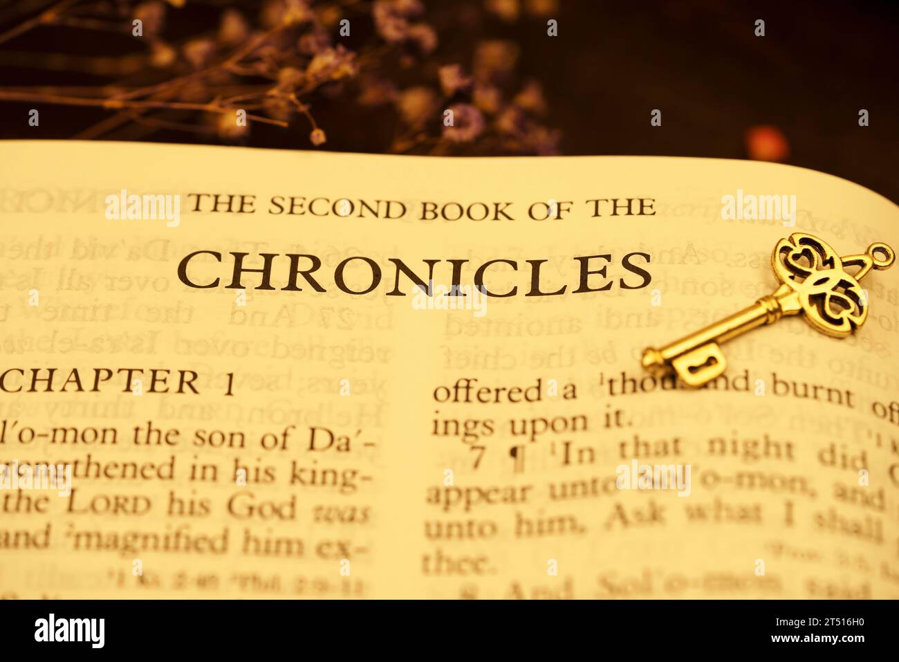 Il libro Holybible del secondo libro di Chronicles Index per sfondo e ispirazione illuminazione vintage Foto Stock