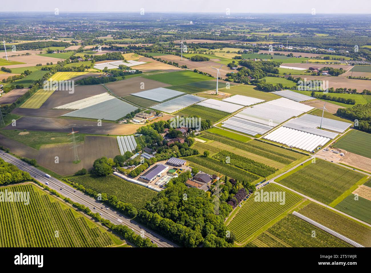 Vista aerea, campi di fragole con pellicola protettiva, Kirchhellen-Nord-Ost, Bottrop, zona della Ruhr, Renania settentrionale-Vestfalia, Germania, coltivazione, DE, Straw Foto Stock