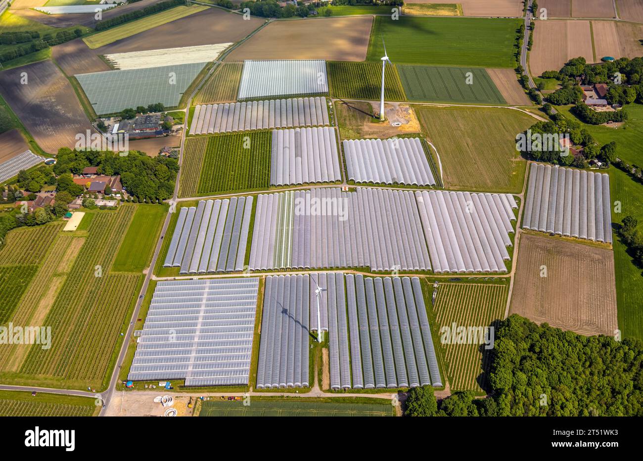 Vista aerea, campi di fragole con pellicola protettiva, Kirchhellen-Nord-Ost, Bottrop, zona della Ruhr, Renania settentrionale-Vestfalia, Germania, coltivazione, DE, Straw Foto Stock