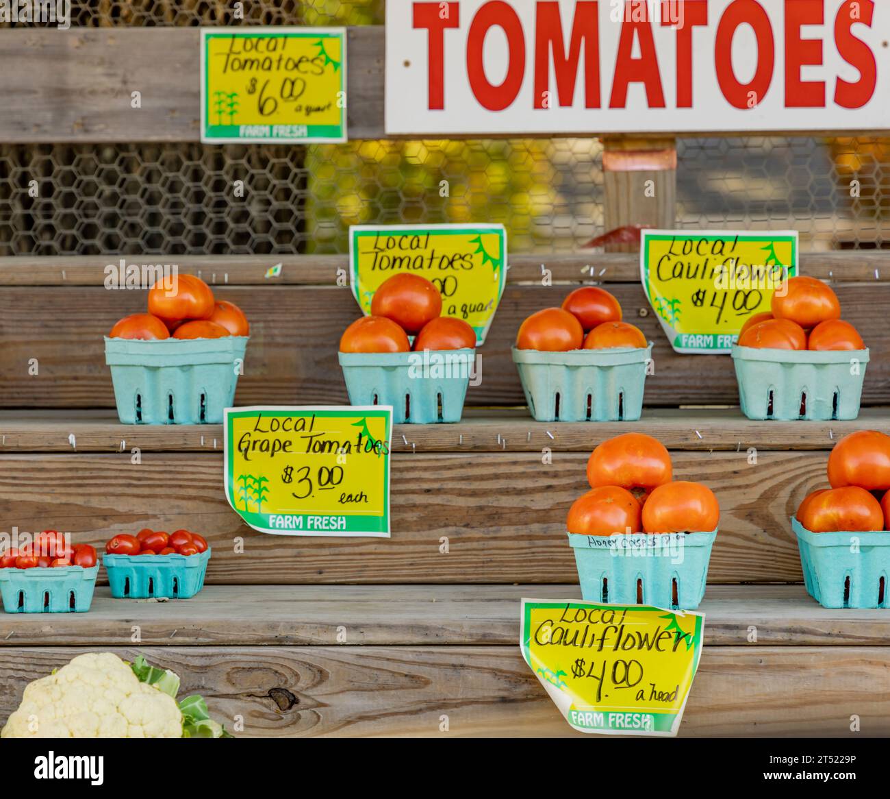 Immagine dettagliata dei pomodori appena raccolti in vendita presso lo stand della fattoria di Hubbard Foto Stock