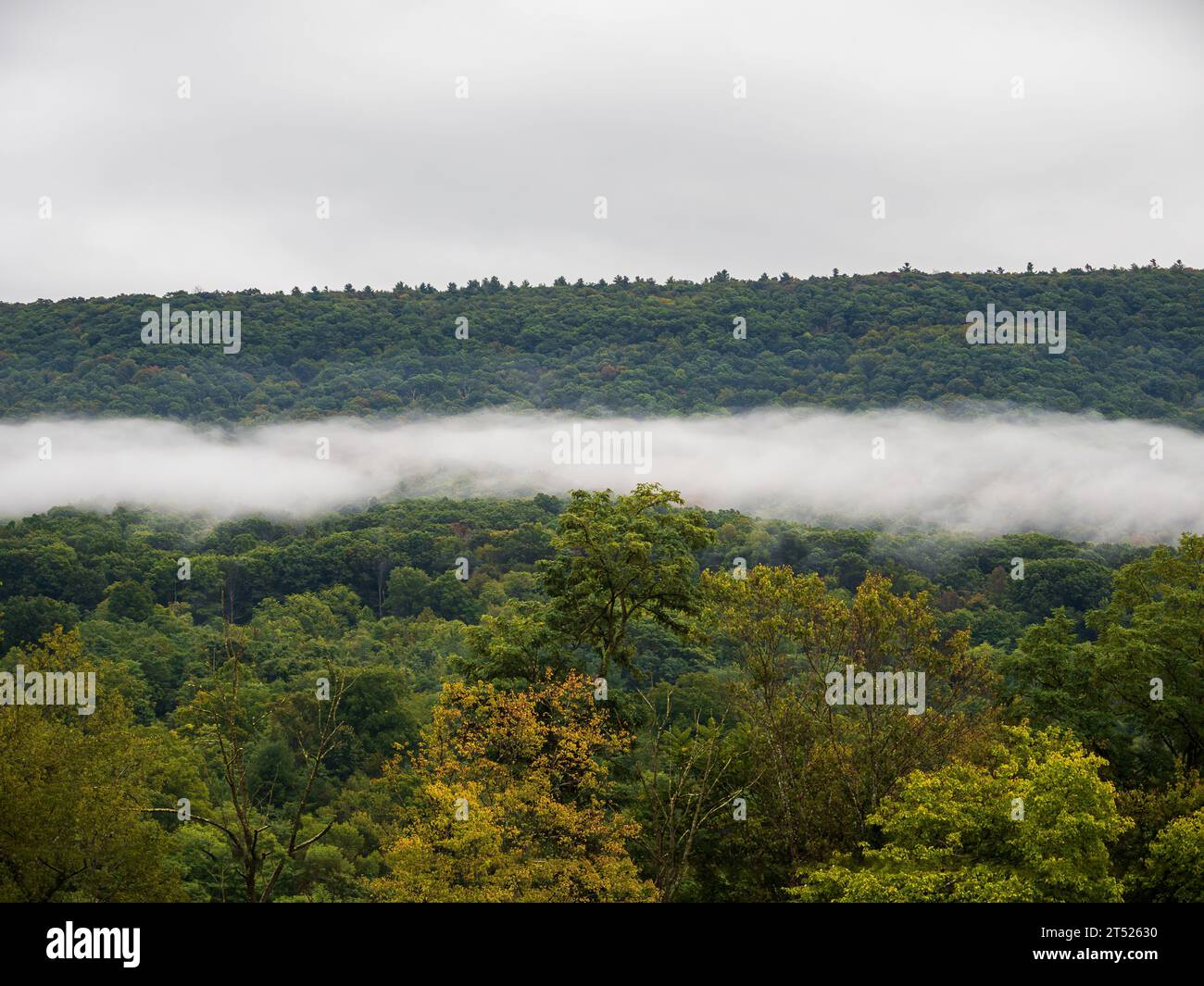 Le montagne Woody nelle vicinanze di Mathias e Lost City, West Virginia, Stati Uniti, sono avvolte da nuvole basse. Questa scena atmosferica incarna il Foto Stock