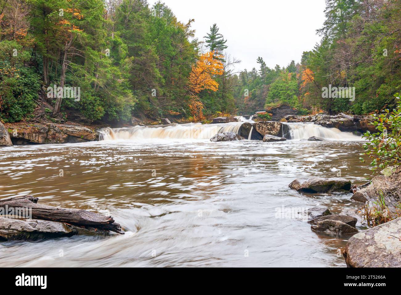 Cascate di Lower Swallow in un giorno autunnale piovoso. Youghiogheny River. Swallow Falls State Park. Oakland. Maryland Foto Stock