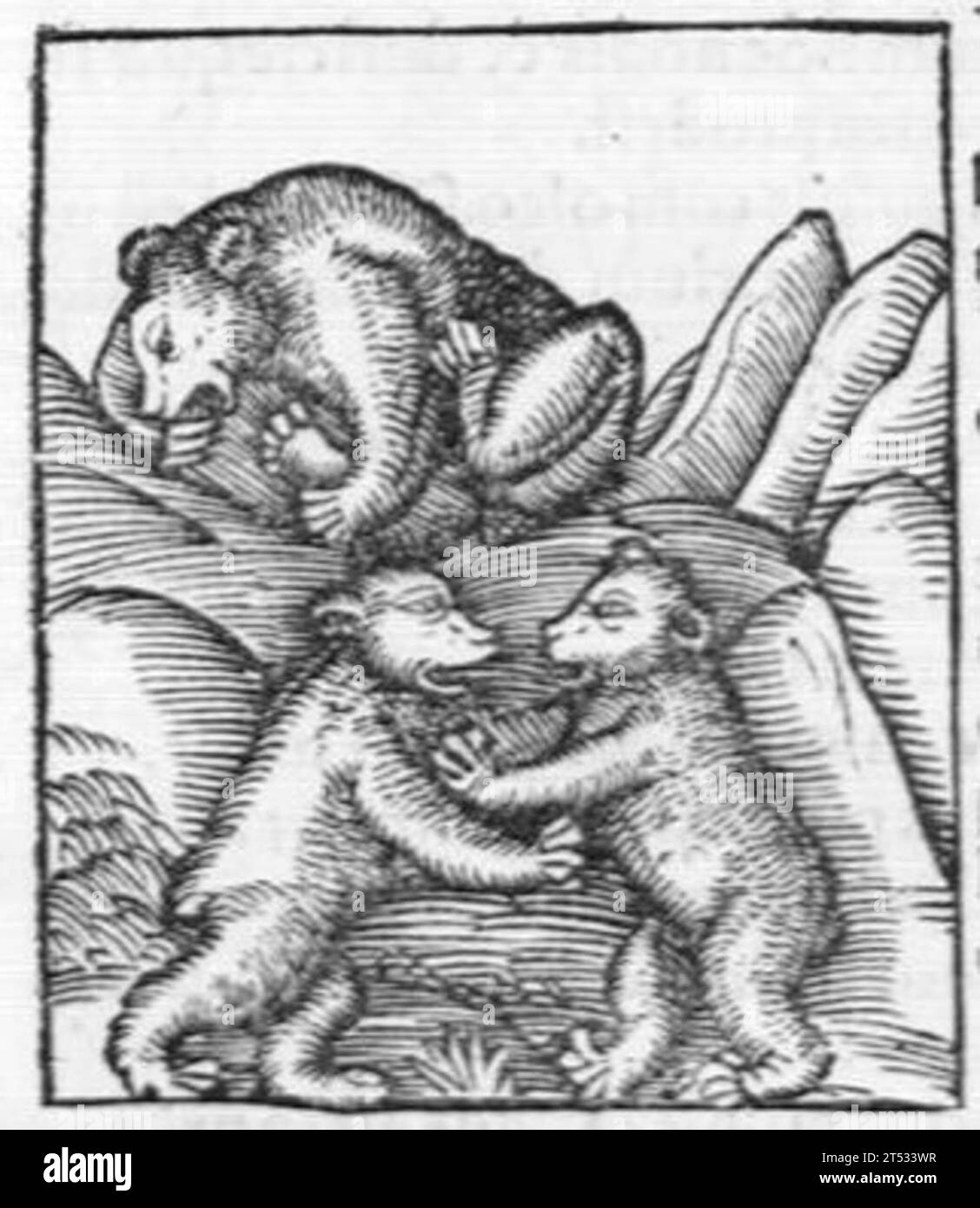 Hortus sanitatis, quatuor libris haec quae snbsequuntur complectens Foto Stock