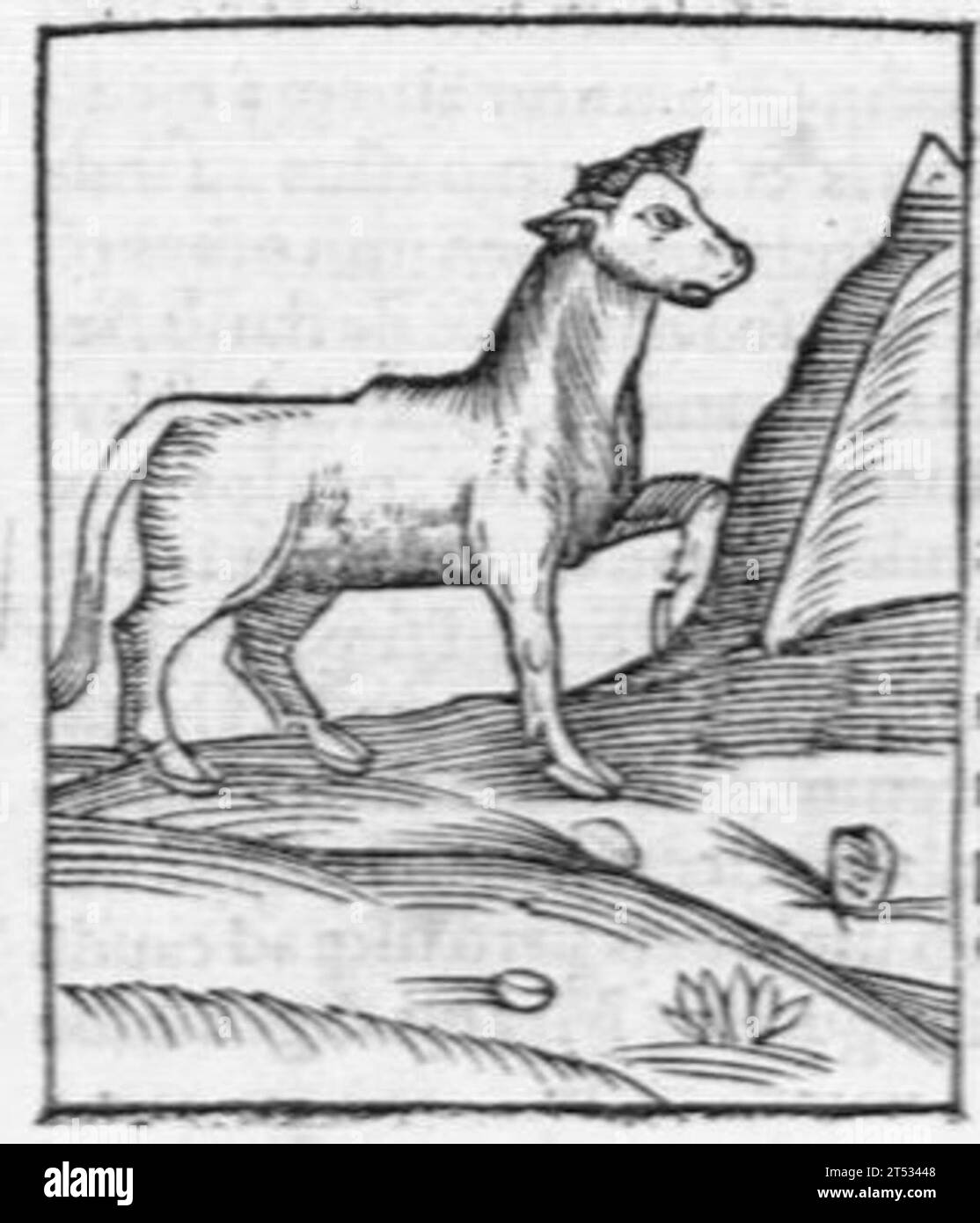 Hortus sanitatis, quatuor libris haec quae snbsequuntur complectens Foto Stock