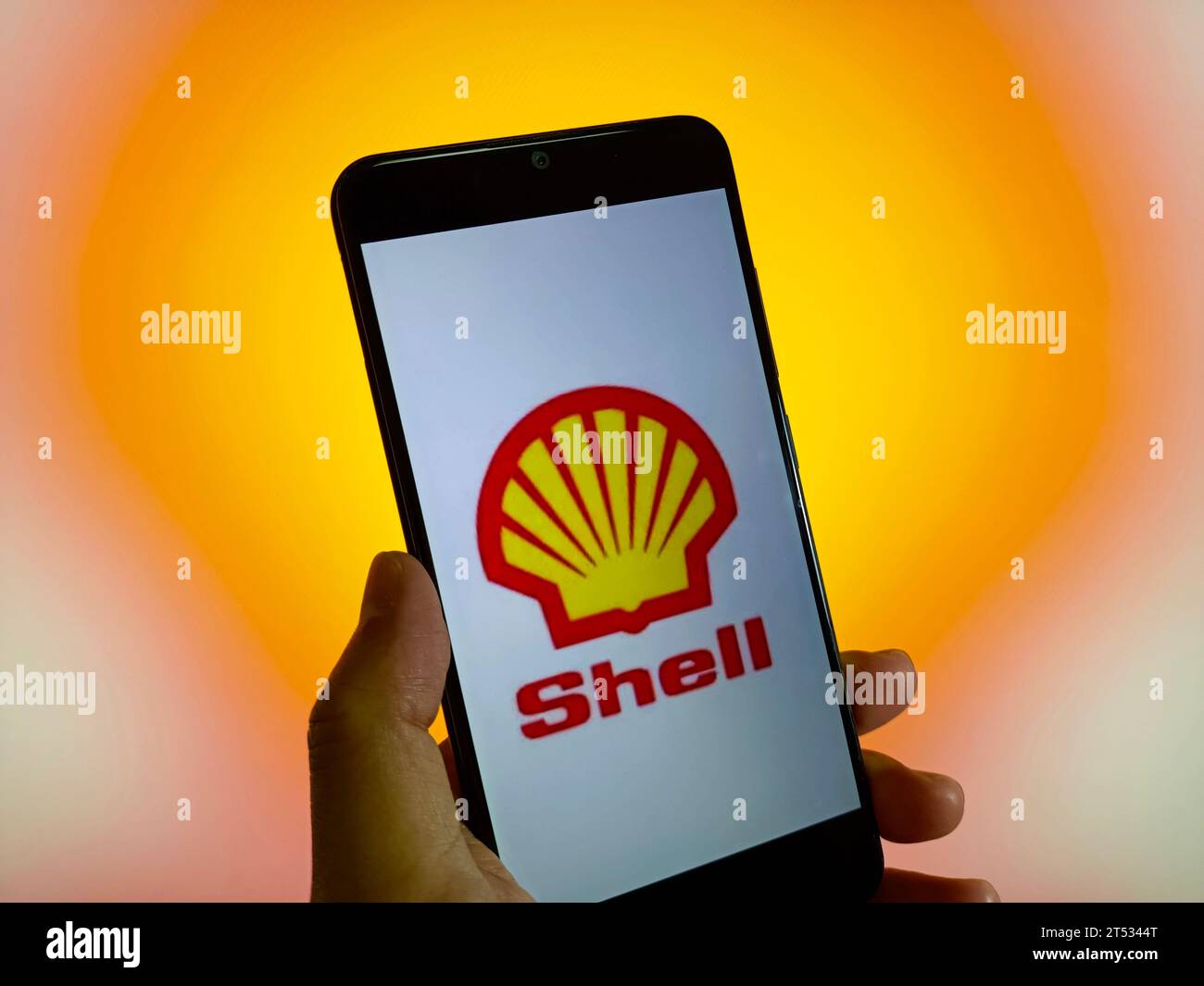 SUQIAN, CINA - 3 NOVEMBRE 2023 - Photo Illustration Shell, Suqian, provincia di Jiangsu, Cina, 3 novembre, 2023. Foto Stock