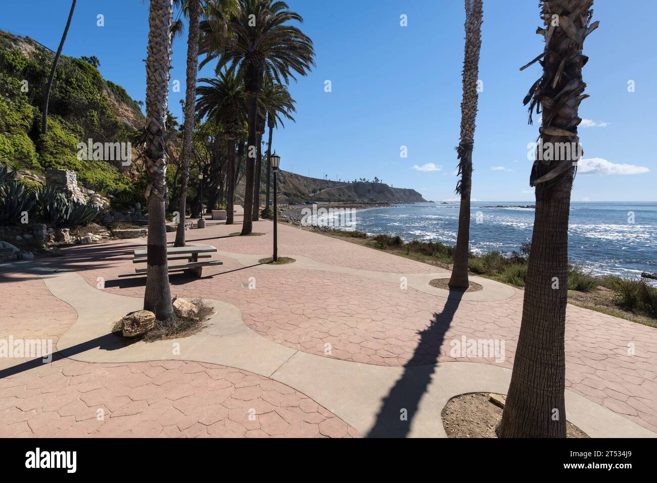 Royal Palms al Whites Point Beach Park a Los Angeles, California. Foto Stock