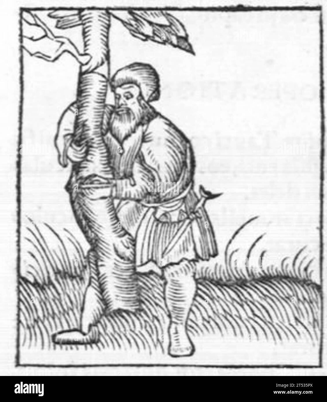 Hortus sanitatis, quatuor libris haec quae snbsequuntur complectens Foto Stock