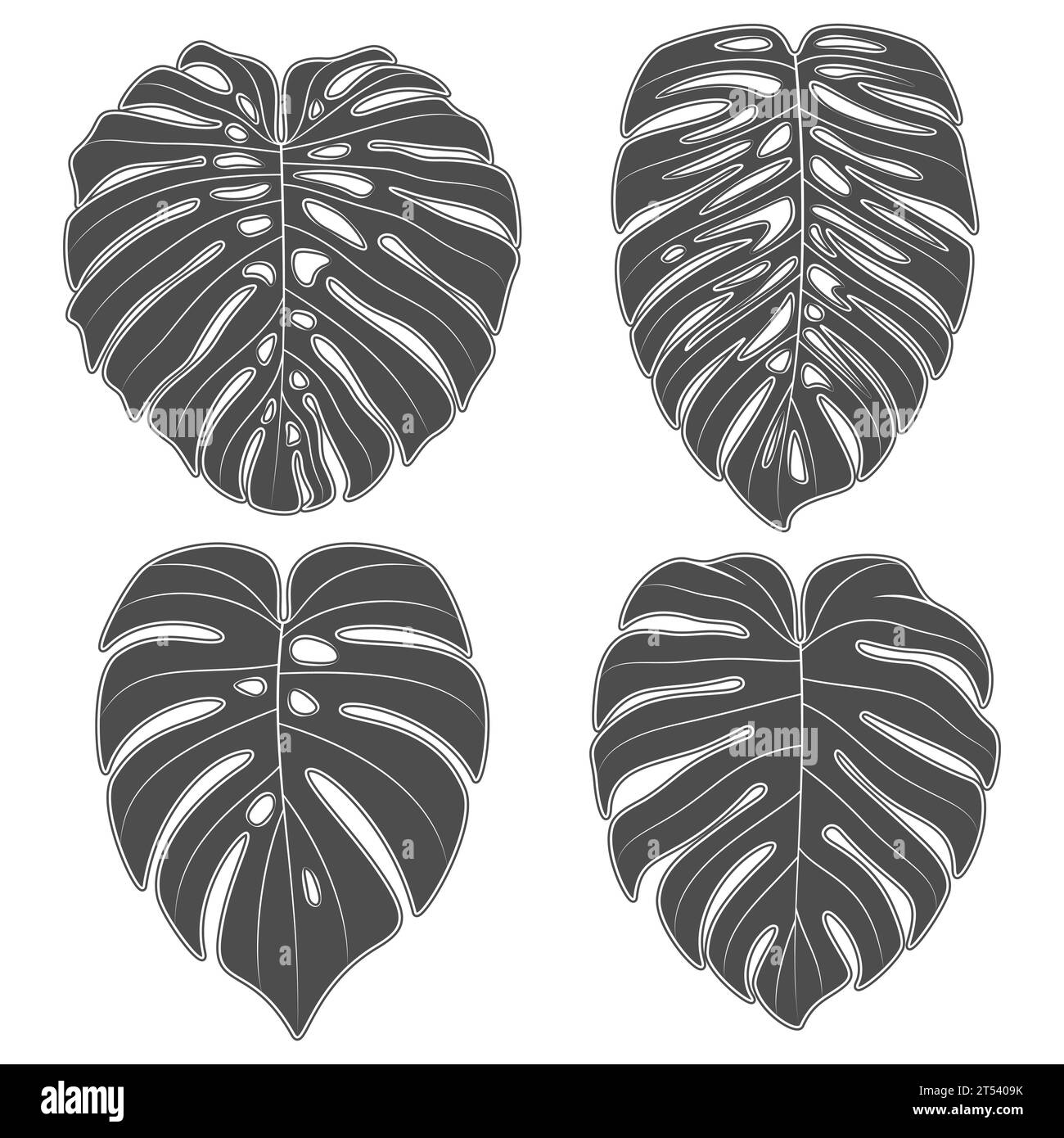 Set di illustrazioni in bianco e nero con foglie di piante superidratanti monstera. Oggetti vettoriali isolati su sfondo bianco. Illustrazione Vettoriale
