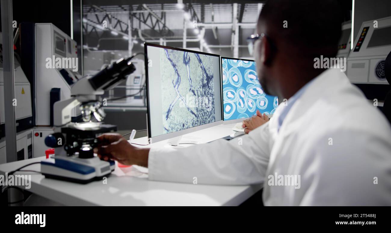 Ricercatore di laboratorio che utilizza il computer. Scienze mediche Foto Stock