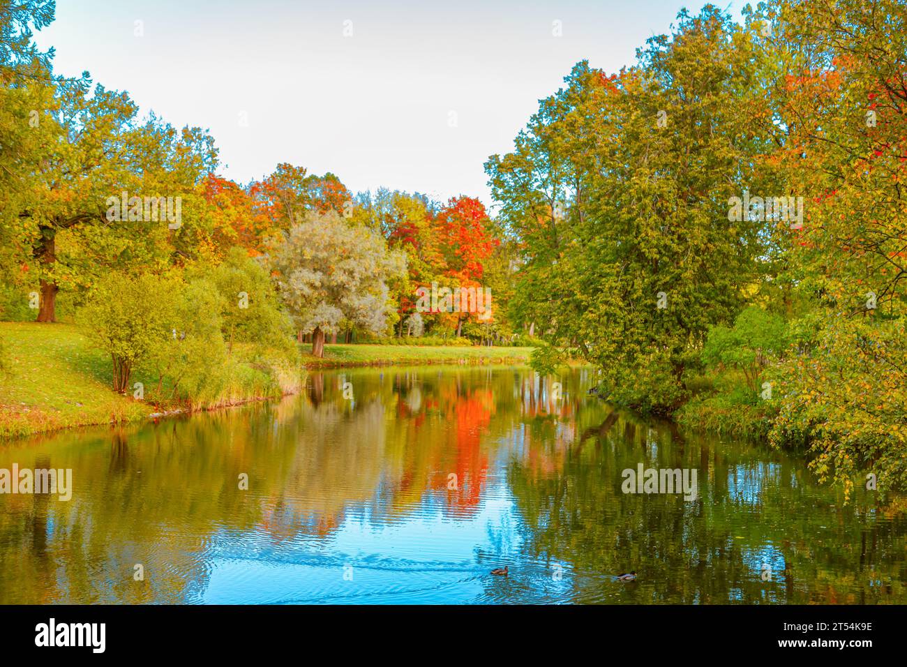 Colorato parco autunnale in una giornata di sole. Splendido paesaggio autunnale con alberi gialli e rossi. Foglie cadenti. Sfondo naturale autunnale. Foto Stock