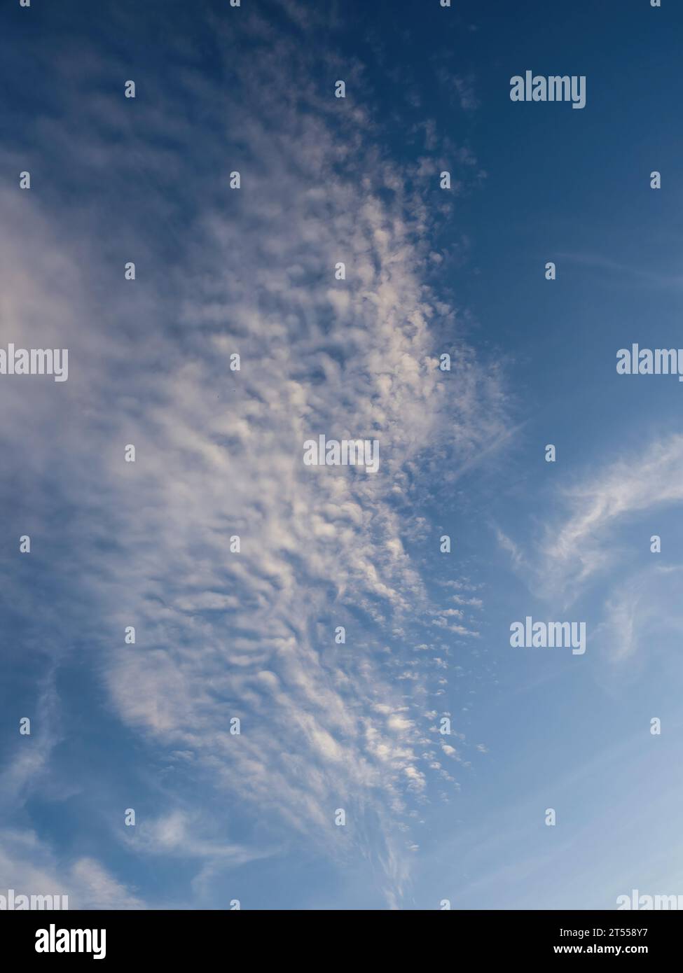 Cielo blu con insolite nuvole bianche astratte. Strana trama di nuvole drammatica. Foto Stock