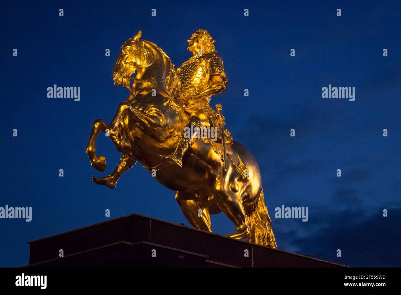 Vista notturna dall'angolo basso della statua equestre dorata "Goldener Reiter" (cavaliere d'oro) di Augusto il forte a Dresda Foto Stock