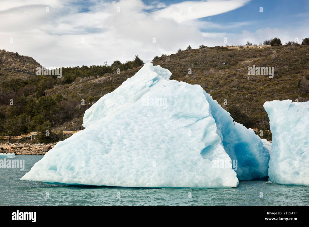 Iceberg distaccati del ghiacciaio Perito Moreno che galleggiano sul lago Argentino Foto Stock