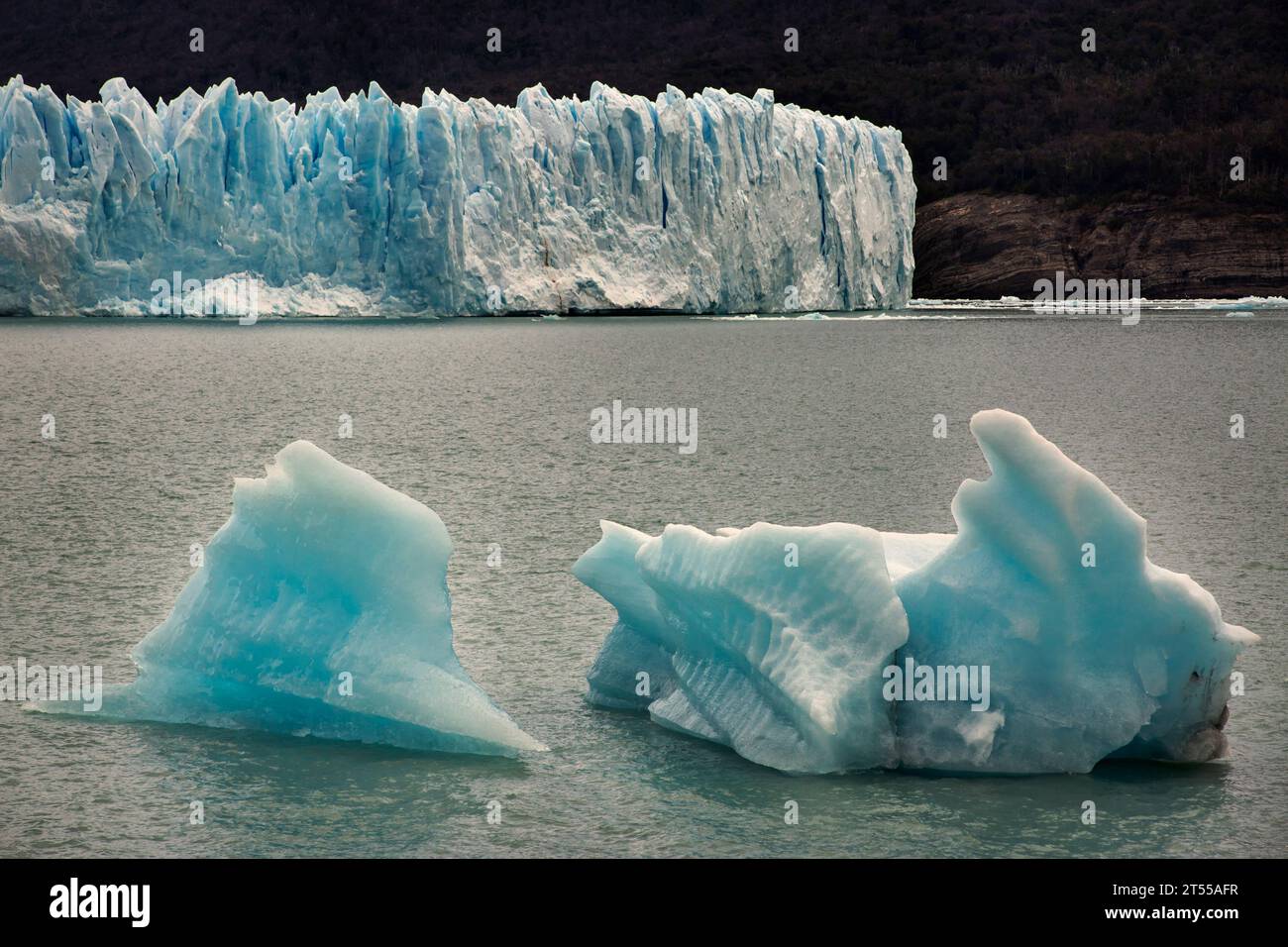 Due iceberg distaccati del ghiacciaio Perito Moreno che galleggiano sul lago Argentino, Patagonia argentina Foto Stock