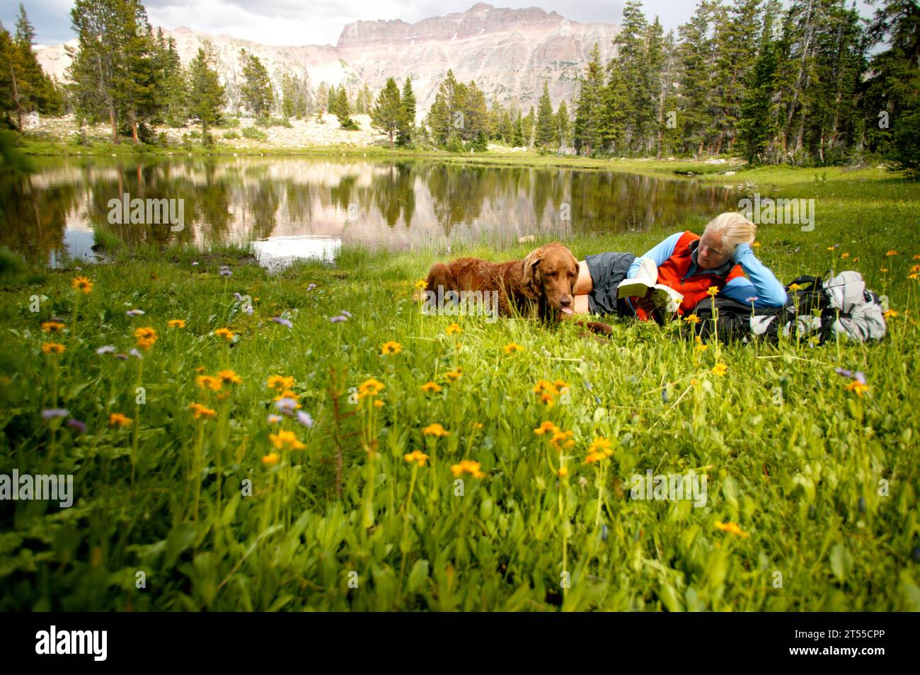 Escursionista che legge e si rilassa al lago Butterfly con un cane Chesapeake Retriever. Foto Stock