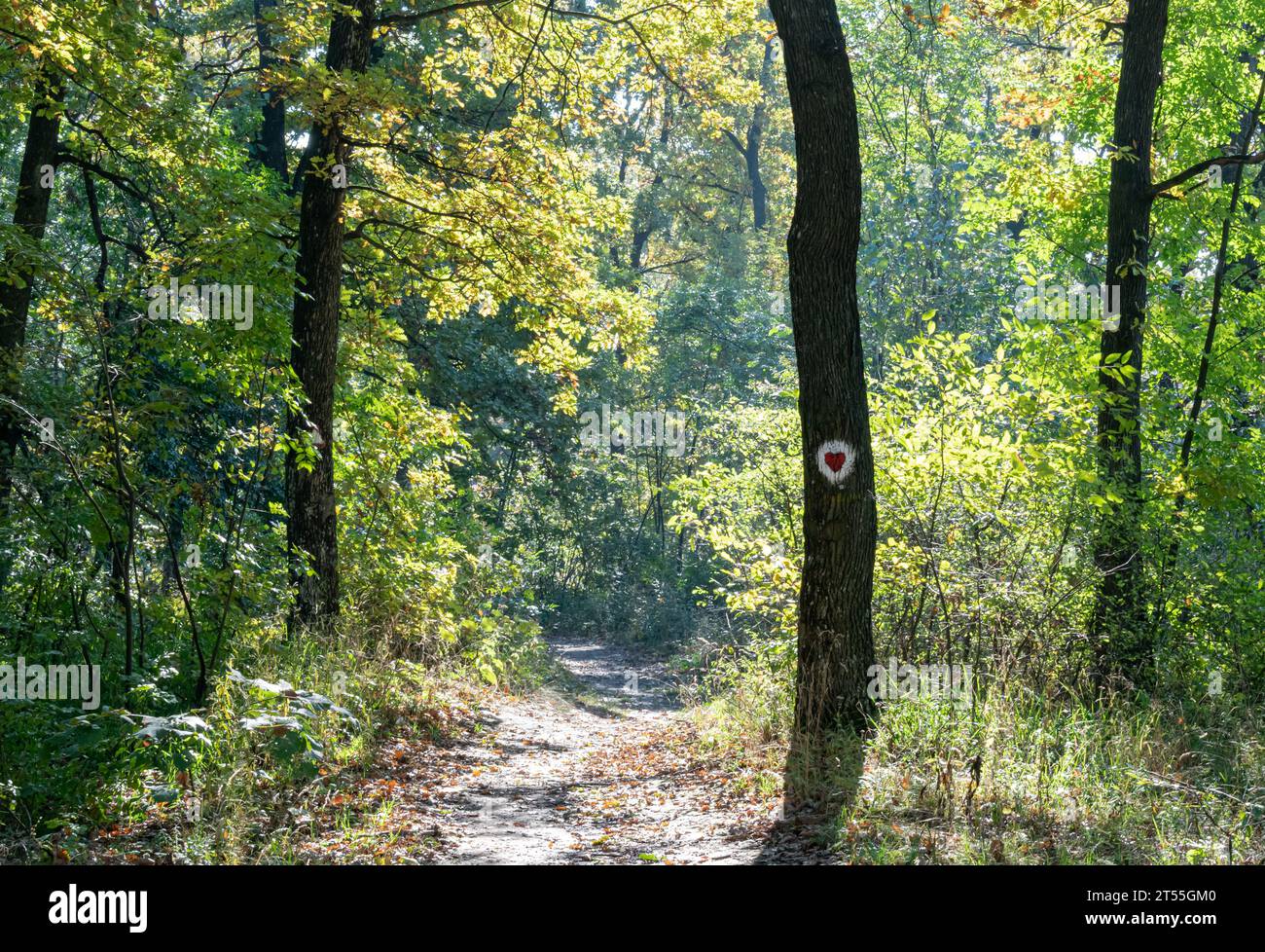 Fruska Gora montagna vicino Novi Sad, Serbia Foto Stock